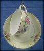 Vintage Bone China Tea Cup / teacup & Saucer Set THUNY CZECHOLSLOVAKIA A1522