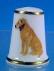 Vintage AYNSLEY Bone China Thimble LABRADOR RETRIEVER Made in England A2245