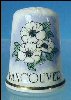 Vintage Collectible Souvenir BIRCHCROFT China Thimble VANCOUVER & THIMBLEWEED A2265