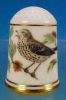 Limited Edition Porcelain Thimble SONG THRUSH / Franklin Porcelain / GARDEN BIRDS / Peter Barrett A2293