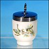 ROYAL WORCESTER Vintage Porcelain Egg Coddler Coddle BIRDS Green Backstamp Standard