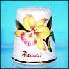 Vintage Hawaii Hibiscus Hawaiian Tropical Flower Souvenir Thimble Porcelain Bone China