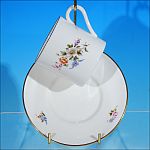 Discontinued ROYAL WORCESTER Teacup / Tea Cup & Saucer Set ROANOKE